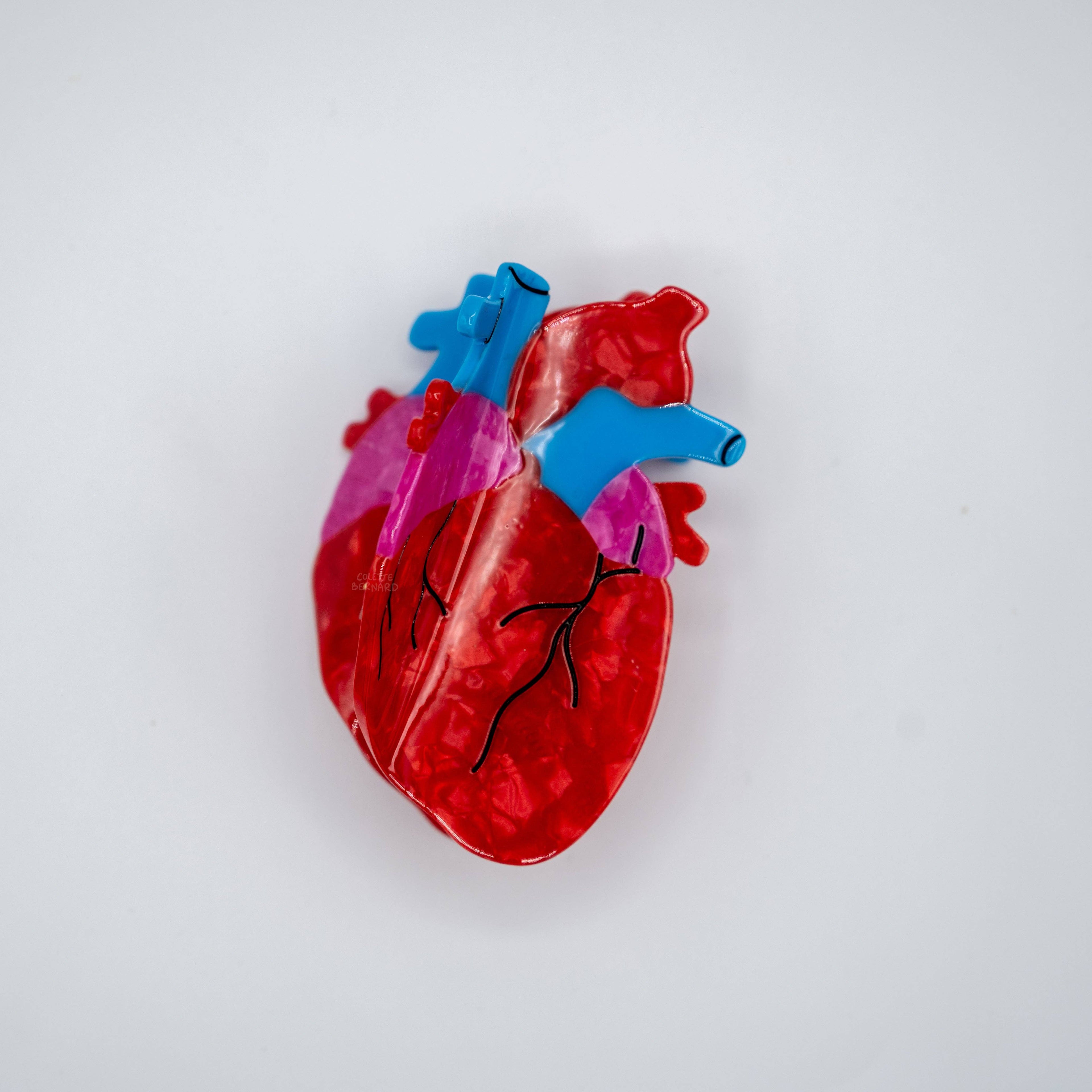 Anatomical Heart Hair Clip | COLETTE BERNARD