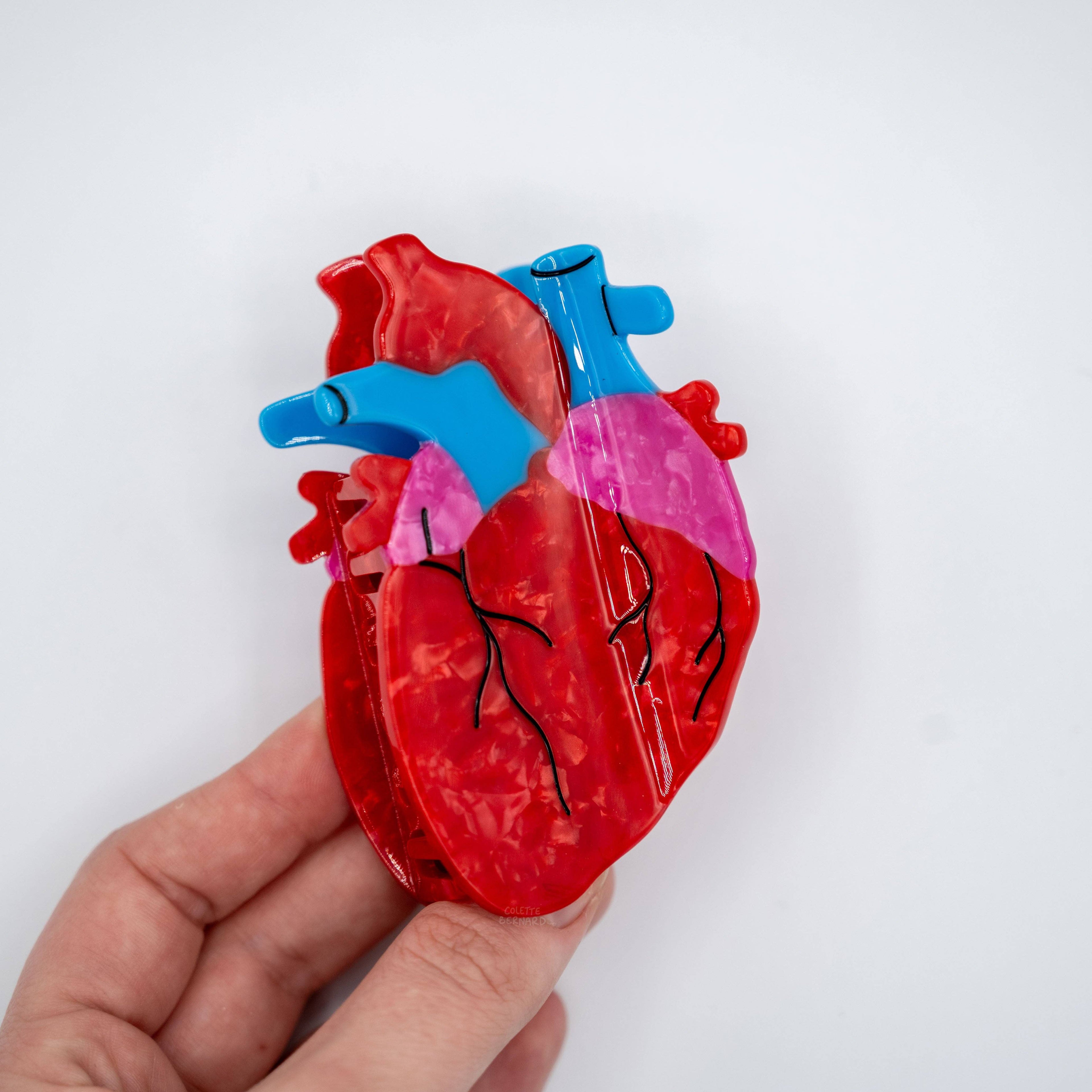 Anatomical Heart Hair Clip | COLETTE BERNARD