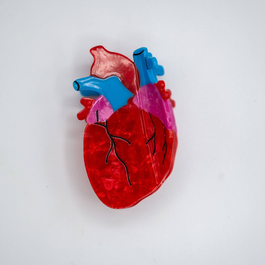 Anatomical Heart Hair Clip | COLETTE BERNARD