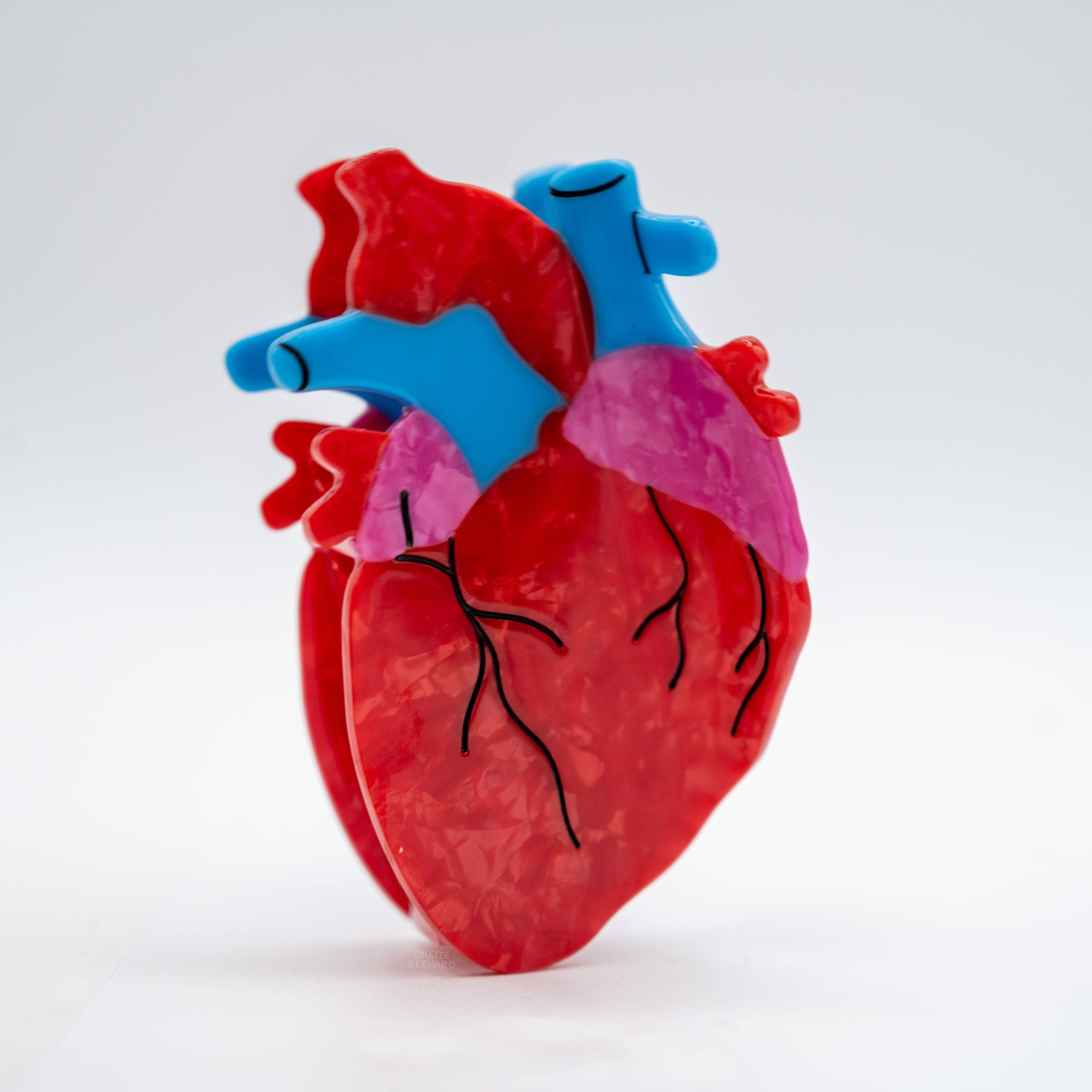 Anatomical Heart Hair Clip | COLETTE BERNARD