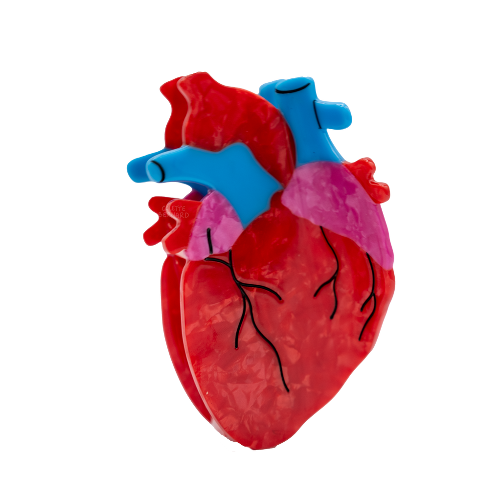 Anatomical Heart Hair Clip | COLETTE BERNARD