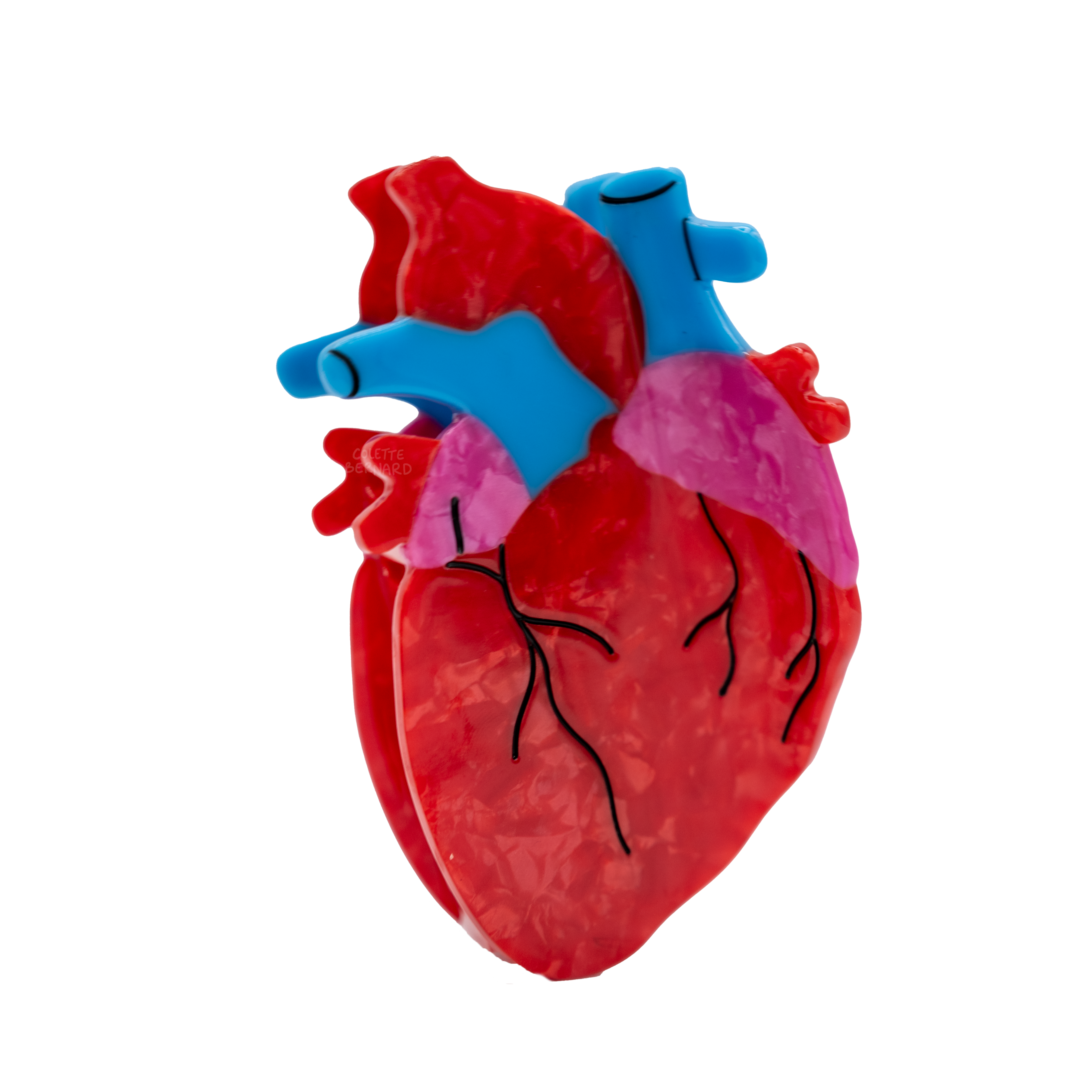 Anatomical Heart Hair Clip | COLETTE BERNARD